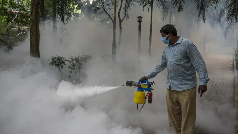dengue