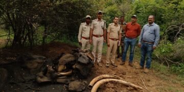 ಚಾಮರಾಜನಗರ ಬಿಆರ್ಟಿ ಅರಣ್ಯ ಪ್ರದೇಶದಲ್ಲಿ ಅಸ್ಥಿಪಂಜರದ ಸ್ಥಿತಿಯಲ್ಲಿ ಆನೆಗಳ ಸಾವು