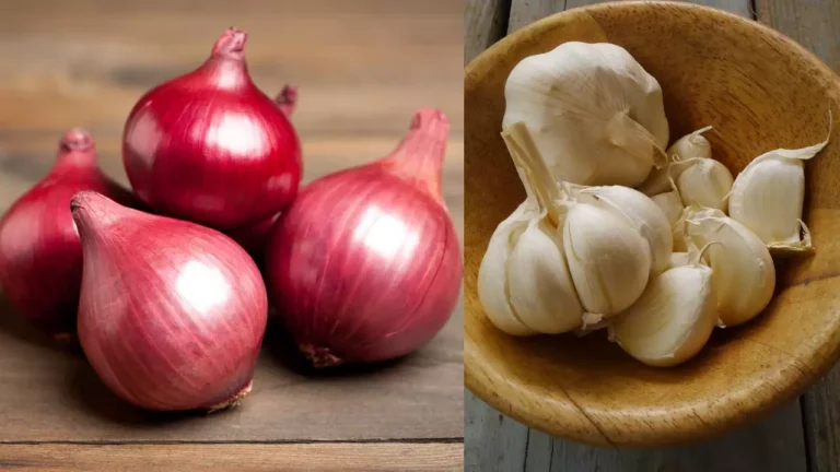 onion