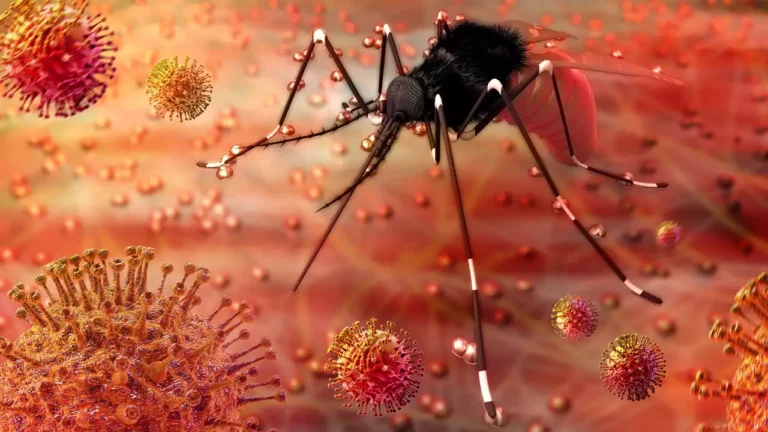 zika