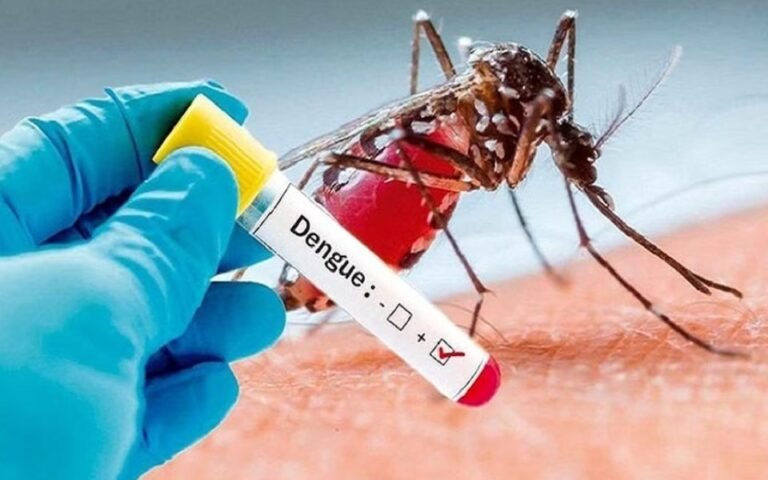 dengue case