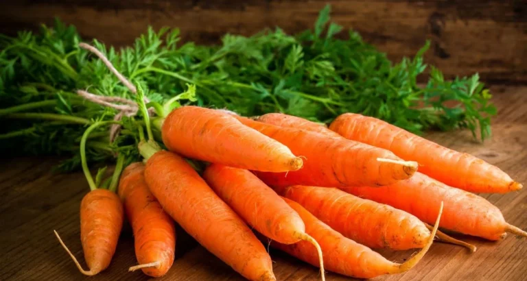 1729509362_1729401606_Carrot-medicinal-use-2024-01-63d002ce6714f897e93e534a0d122db9