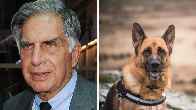 Ratan-Tata-wills-money-to-pet-dog-1024x576