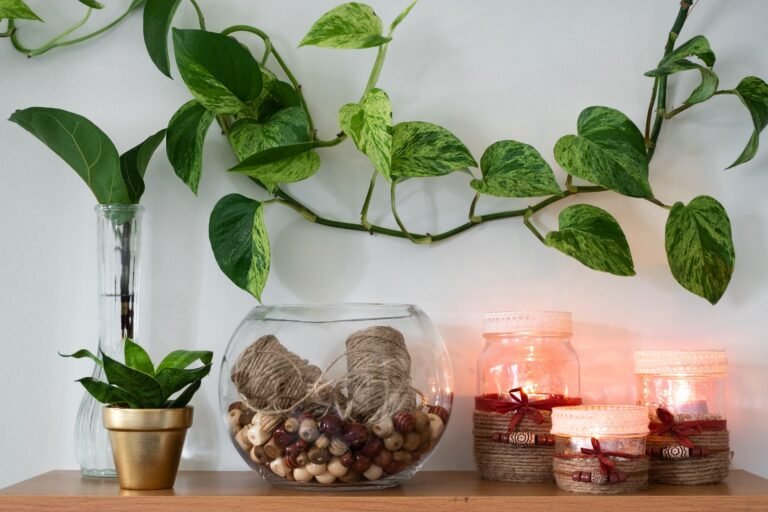 money-plant-in-feng-shui-brings-luck