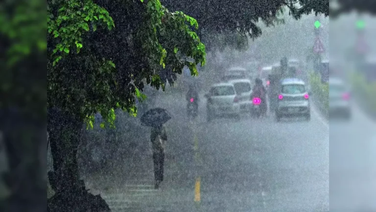 rain-105766919