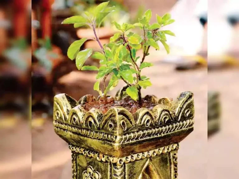 vijaykarnataka