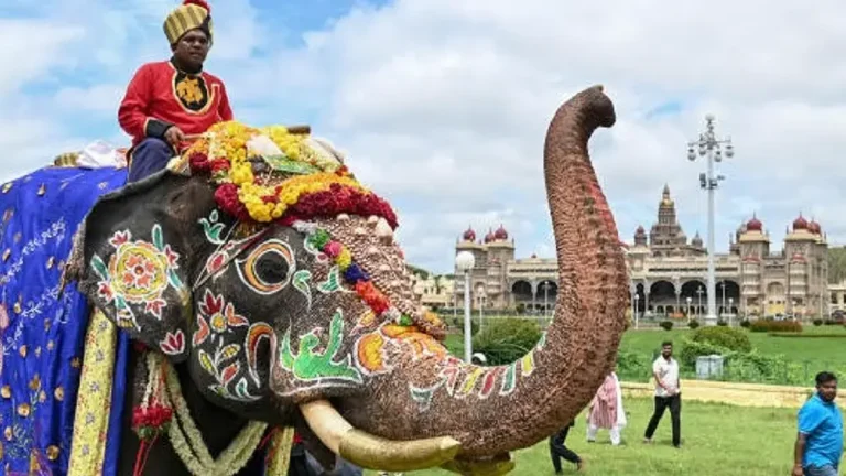 mysuru-dasara