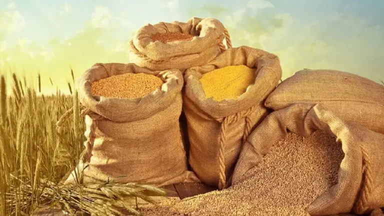 Five grains