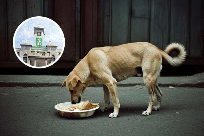 d70428c8-3dcb-482f-8cd8-58ab540ca600