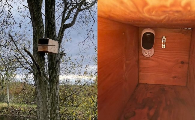 hidden-outdoor-camera