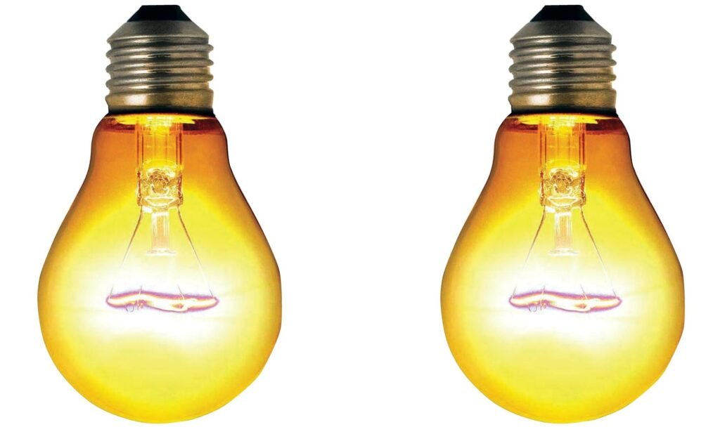 prajavani_2025-03-01_zjhzgjgi_Light