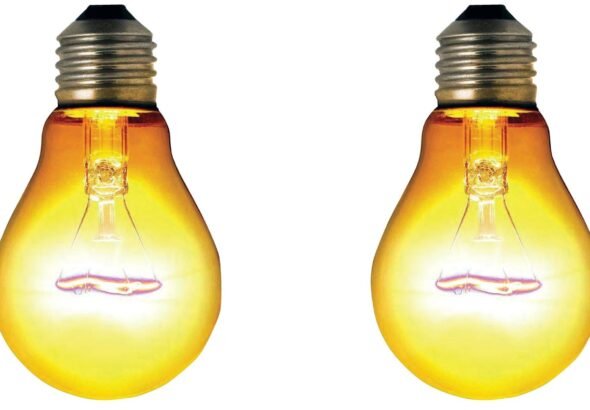 prajavani_2025-03-01_zjhzgjgi_Light