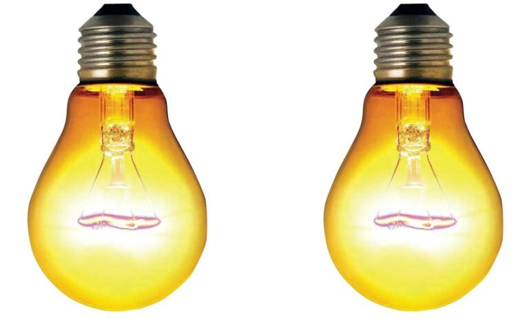 prajavani_2025-03-01_zjhzgjgi_Light