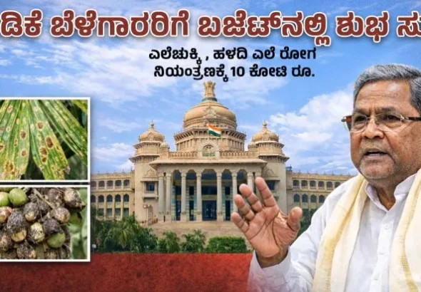 06.03.2026.6-e1772783232645