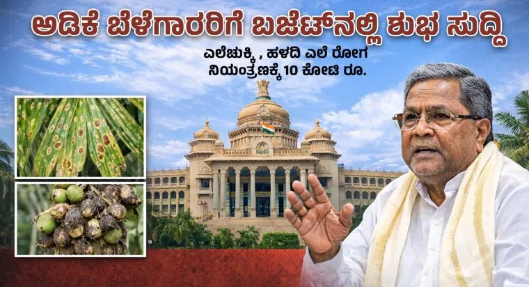 06.03.2026.6-e1772783232645