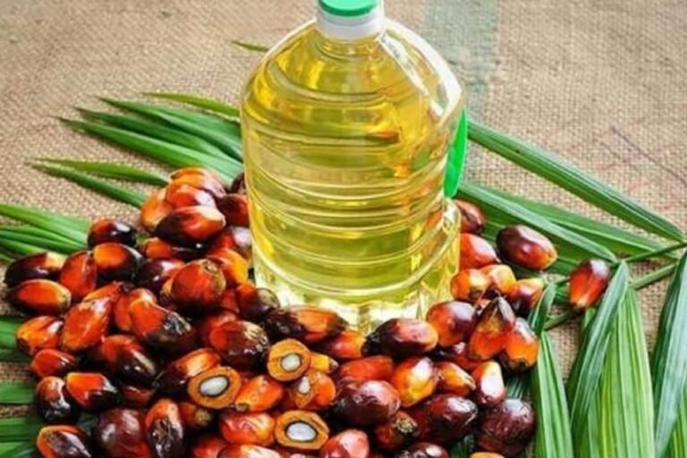 1655426837_3-Good-news-Cooking-oil-prices-to-become-cheaper-upto-Rs-15-per-liter-8