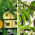 2bdf2b95-e091-4a2d-8b53-c96bb38861bc-1678438846