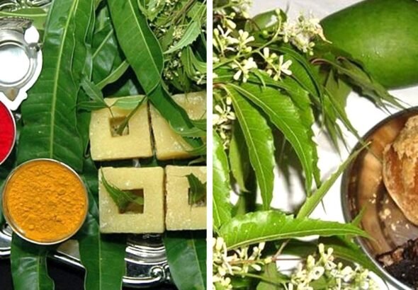 2bdf2b95-e091-4a2d-8b53-c96bb38861bc-1678438846