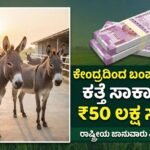 Gemini_Generated_Image_d5gmwmd5gmwmd5gm