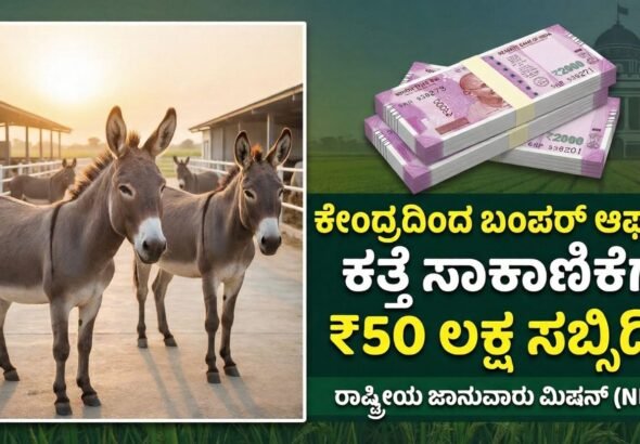 Gemini_Generated_Image_d5gmwmd5gmwmd5gm