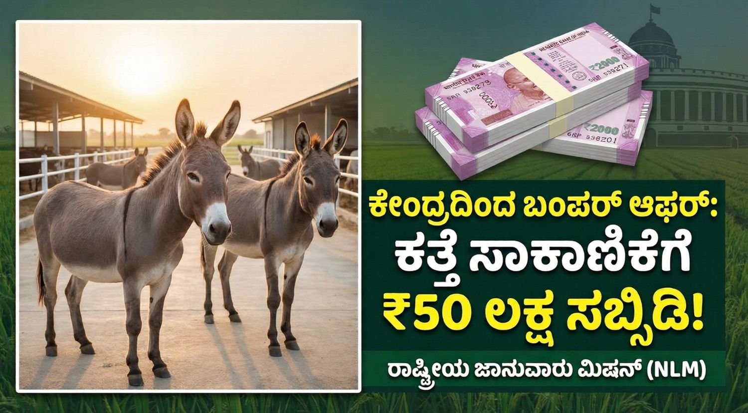 Gemini_Generated_Image_d5gmwmd5gmwmd5gm