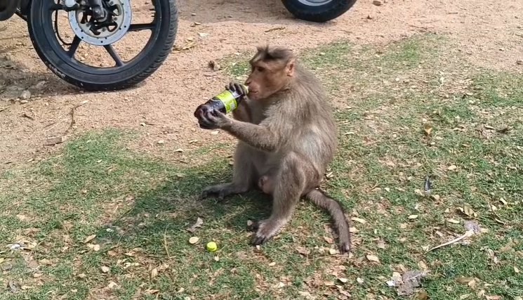 Screenshot 2026-03-30 193642