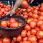 Untitled-design-2026-03-21T192641.350-1024x576