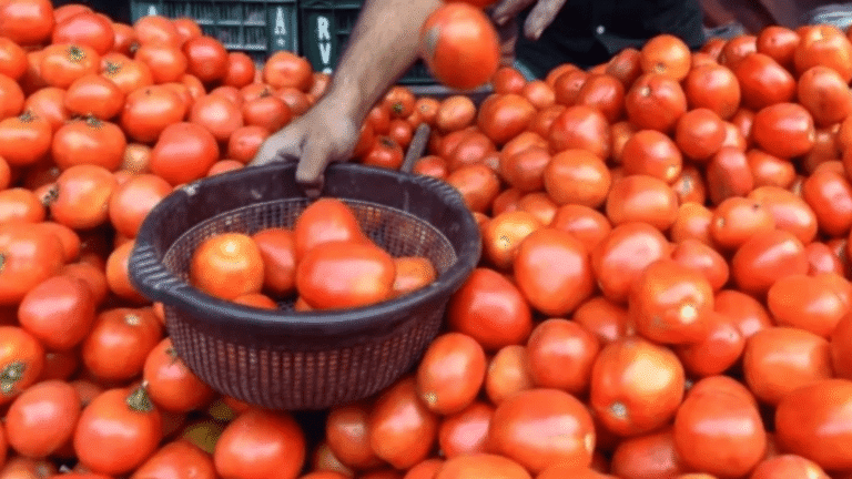 Untitled-design-2026-03-21T192641.350-1024x576