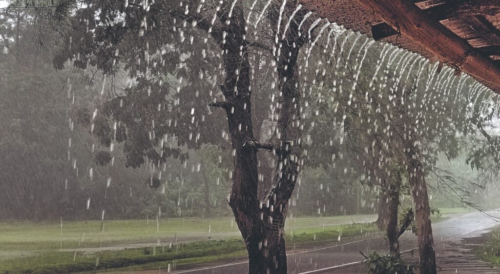 WhatsApp-Image-2026-02-27-at-12.00.46-PM