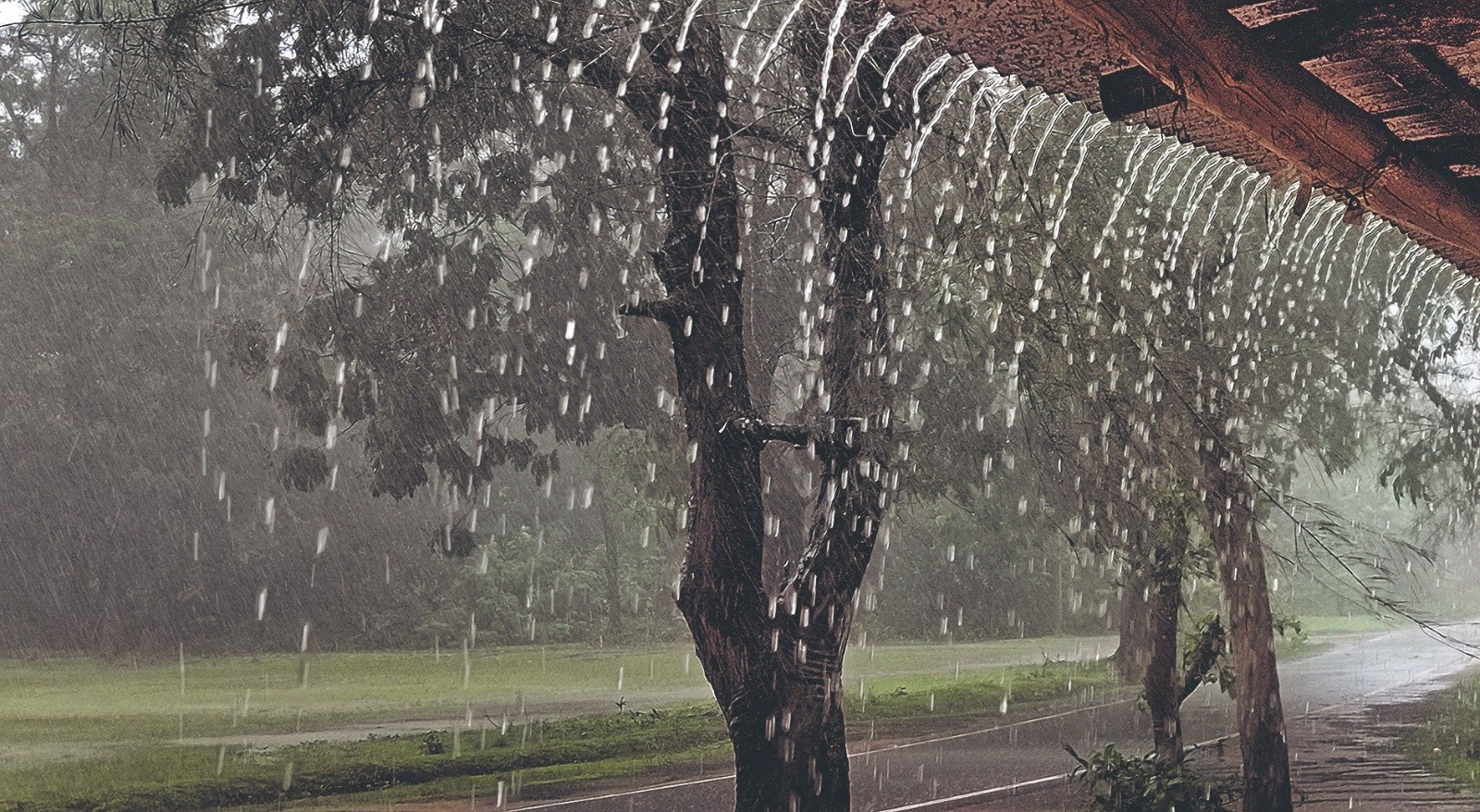 WhatsApp-Image-2026-02-27-at-12.00.46-PM