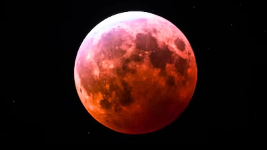 malenadutoday-2026-03-02T125418.623