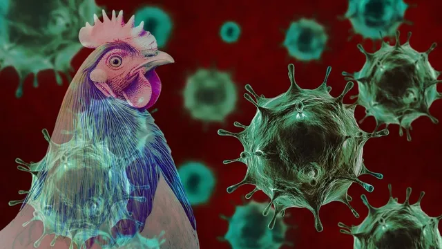 bird-flu-2026-04-18-09-11-37